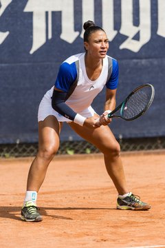 Bild 199 - BL DTV Hannover - BW Dresden Blasewitz : Ergebnis: 2:7